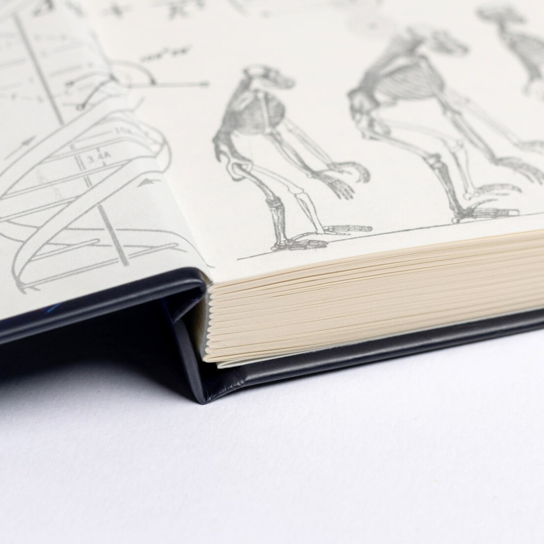 Undated Yearly Productivity Planner - Green