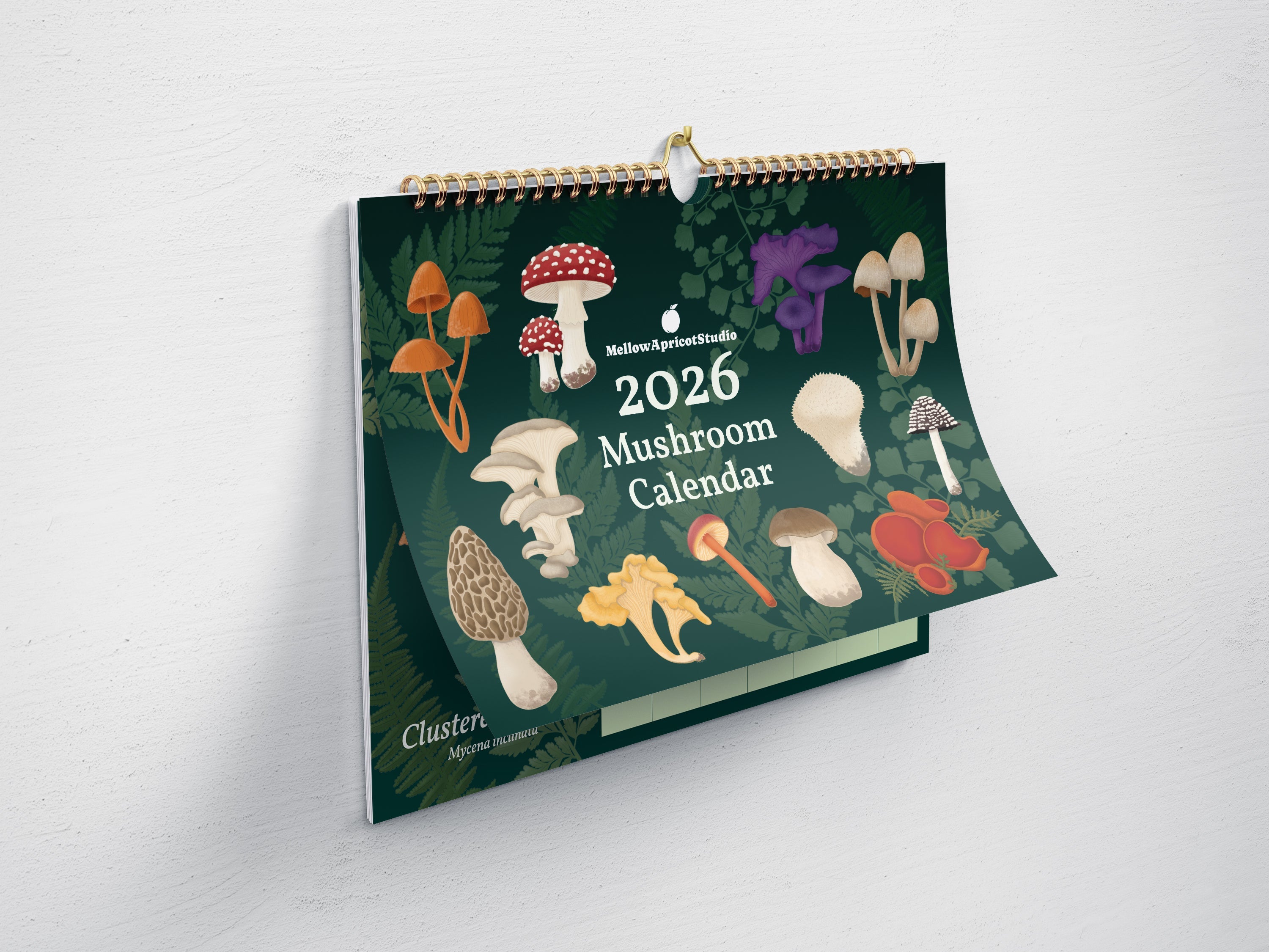 2026 Mushroom Wall Calendar