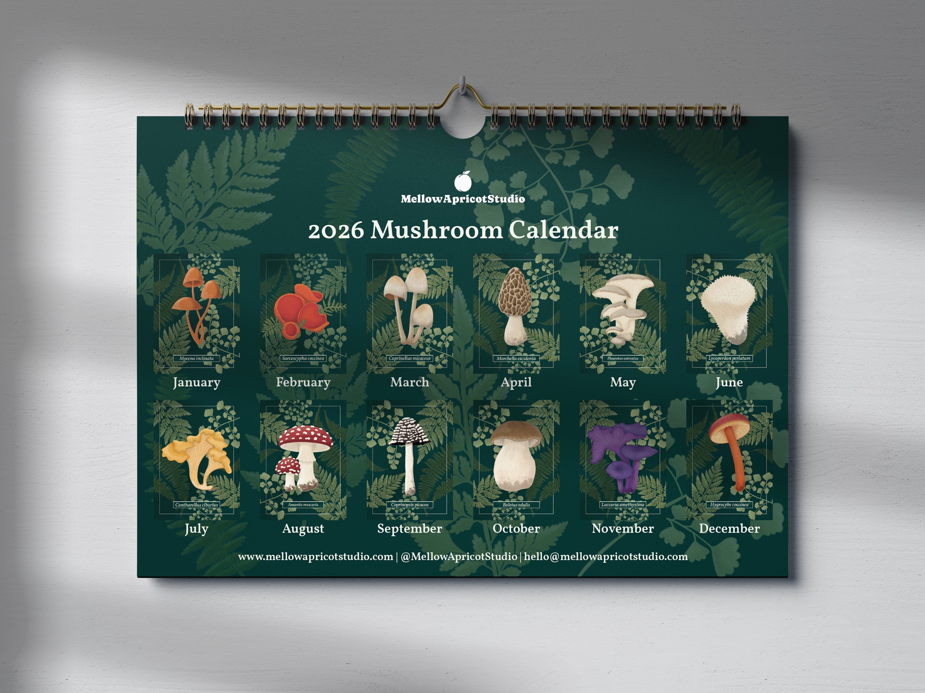 2026 Mushroom Wall Calendar