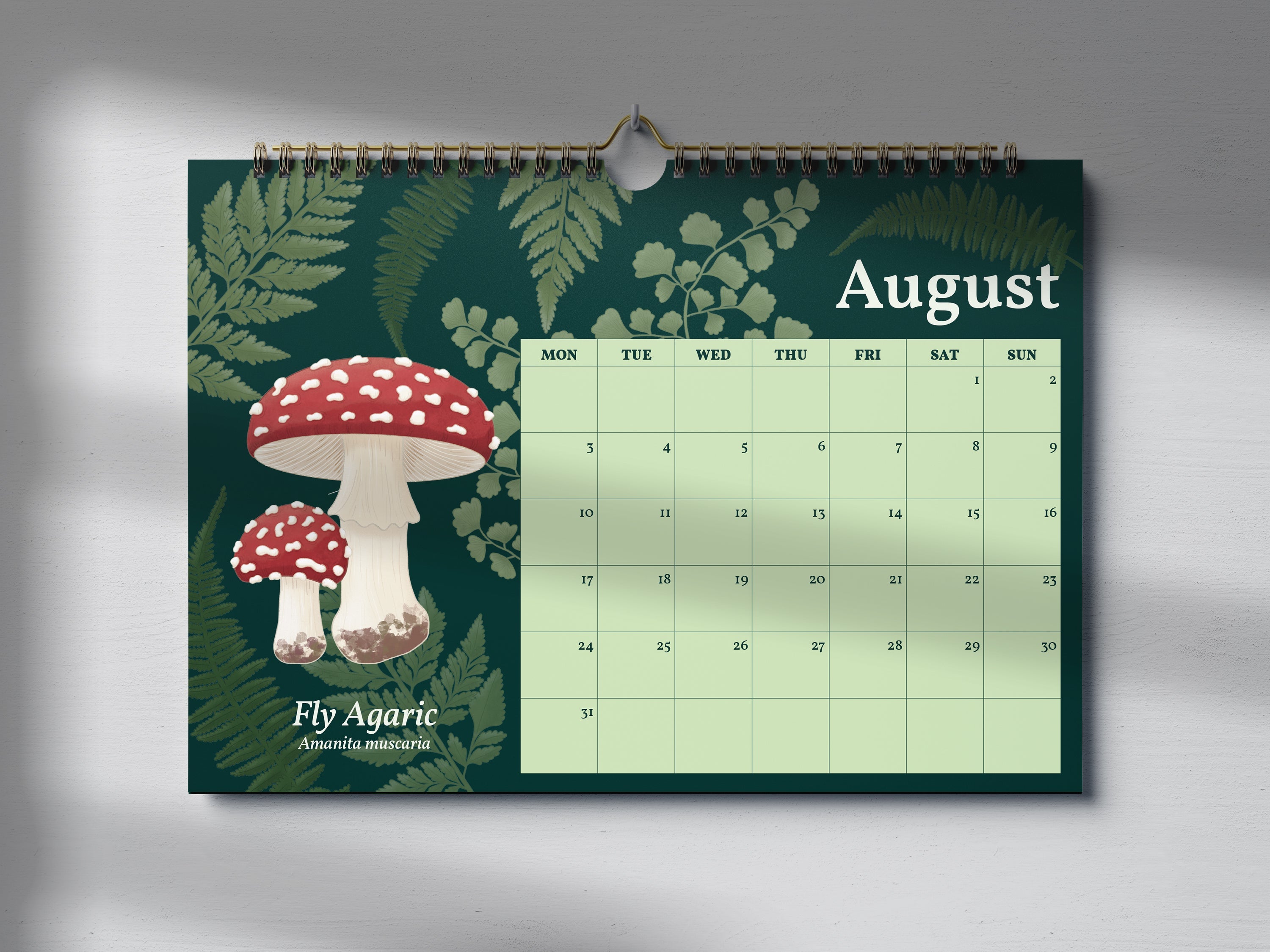 2026 Mushroom Wall Calendar