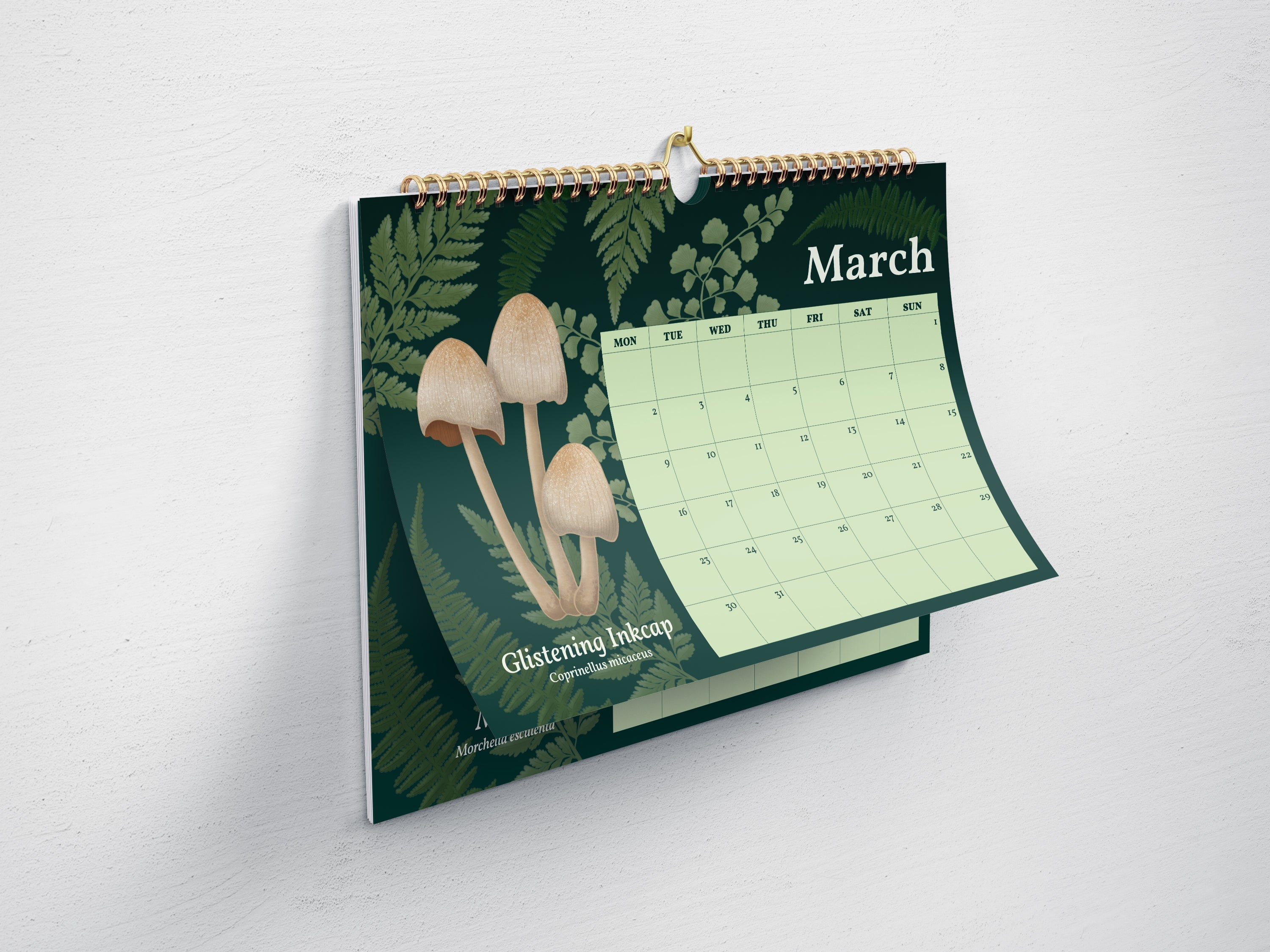 2026 Mushroom Wall Calendar