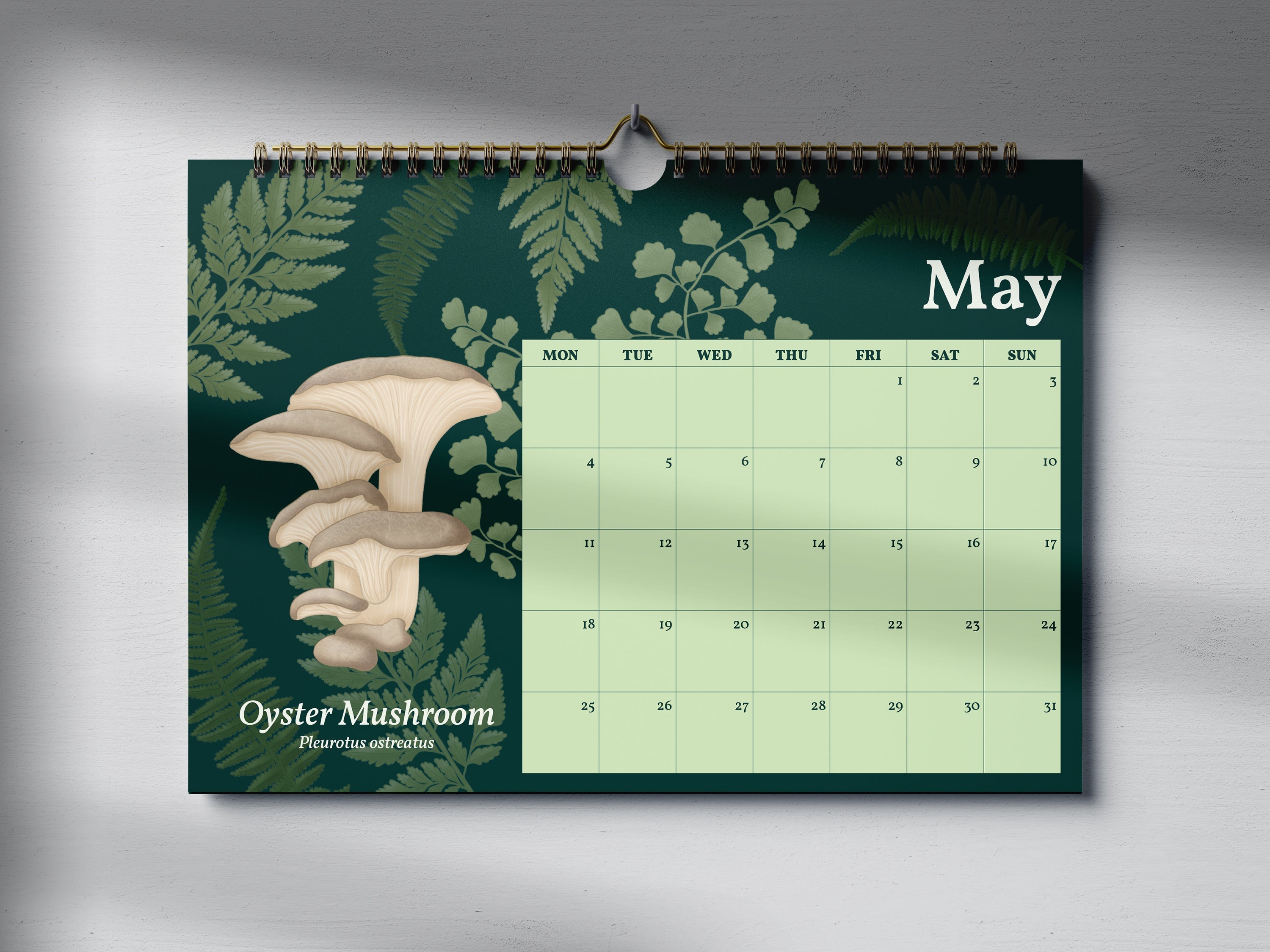 2026 Mushroom Wall Calendar