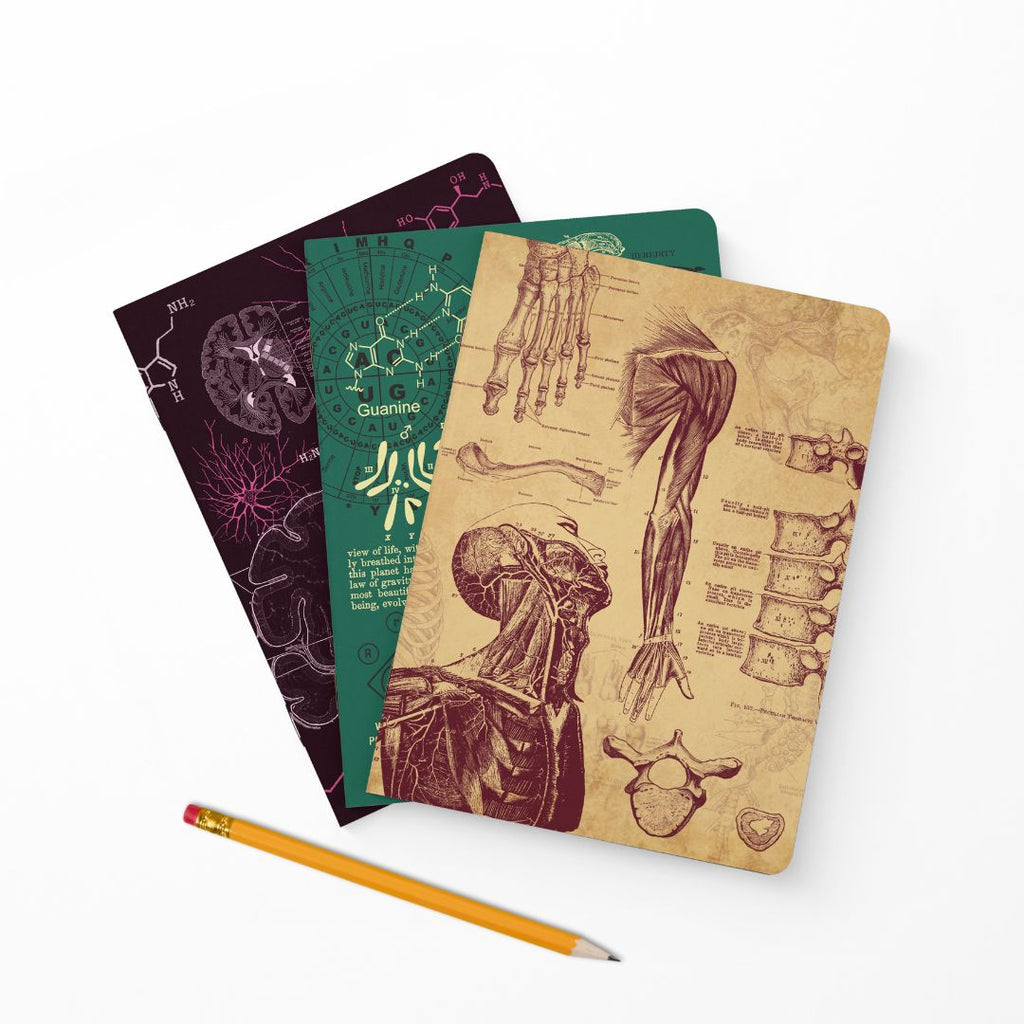 The Living Code: Anatomy, Neuroscience, Evolution & Genetics