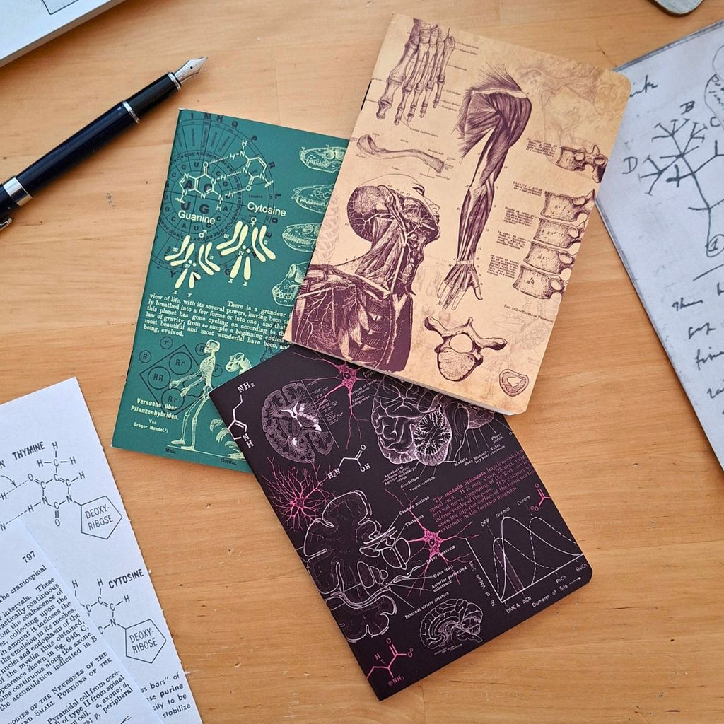 The Living Code: Anatomy, Neuroscience, Evolution & Genetics