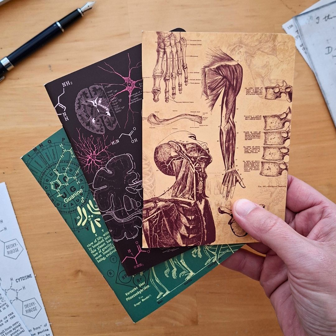 The Living Code: Anatomy, Neuroscience, Evolution & Genetics