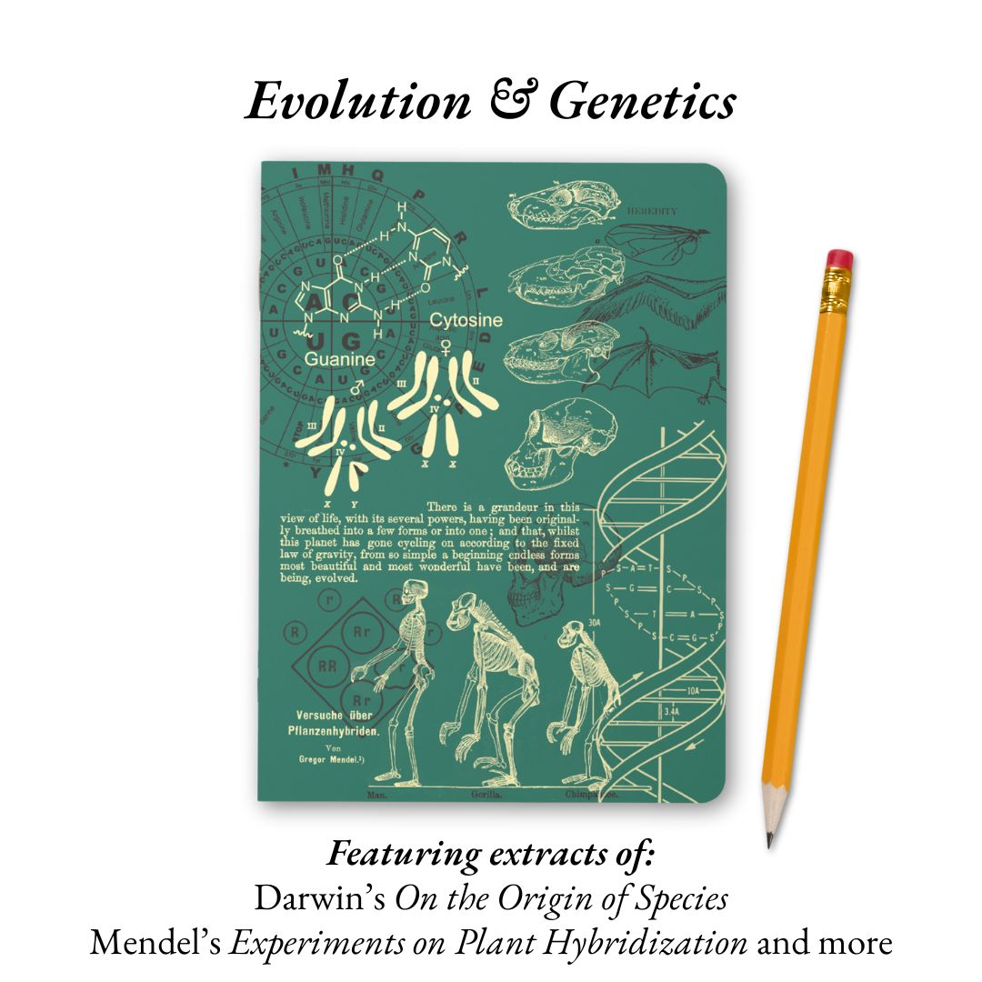 The Living Code: Anatomy, Neuroscience, Evolution & Genetics