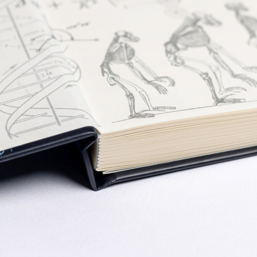 Astronomy A5 Hardcover